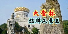 美女插b视频在线中国浙江-绍兴大香林旅游风景区